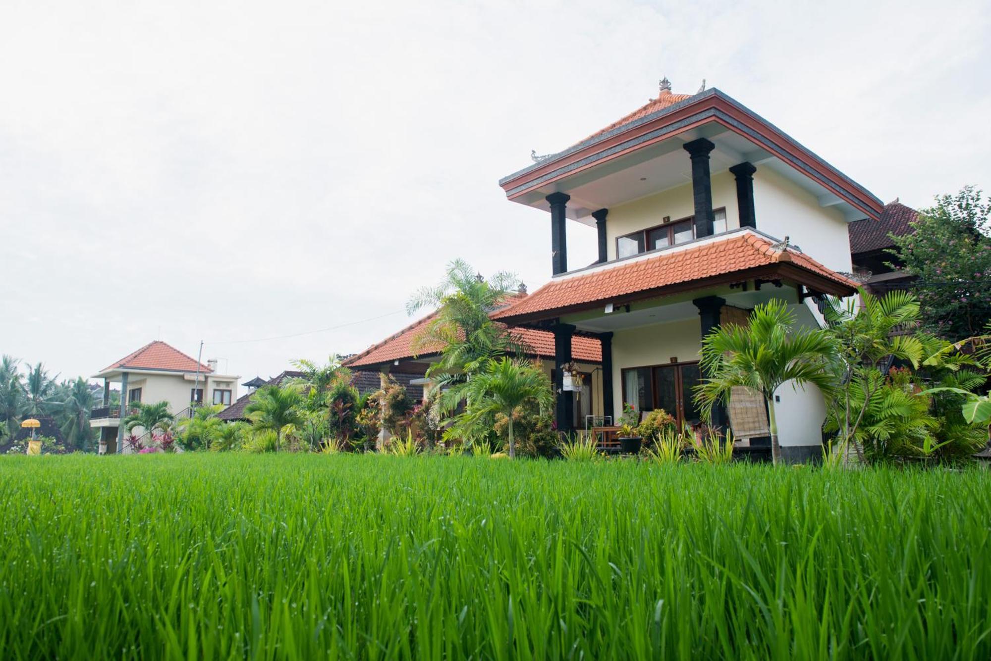 Sari Bungalow أوبود المظهر الخارجي الصورة