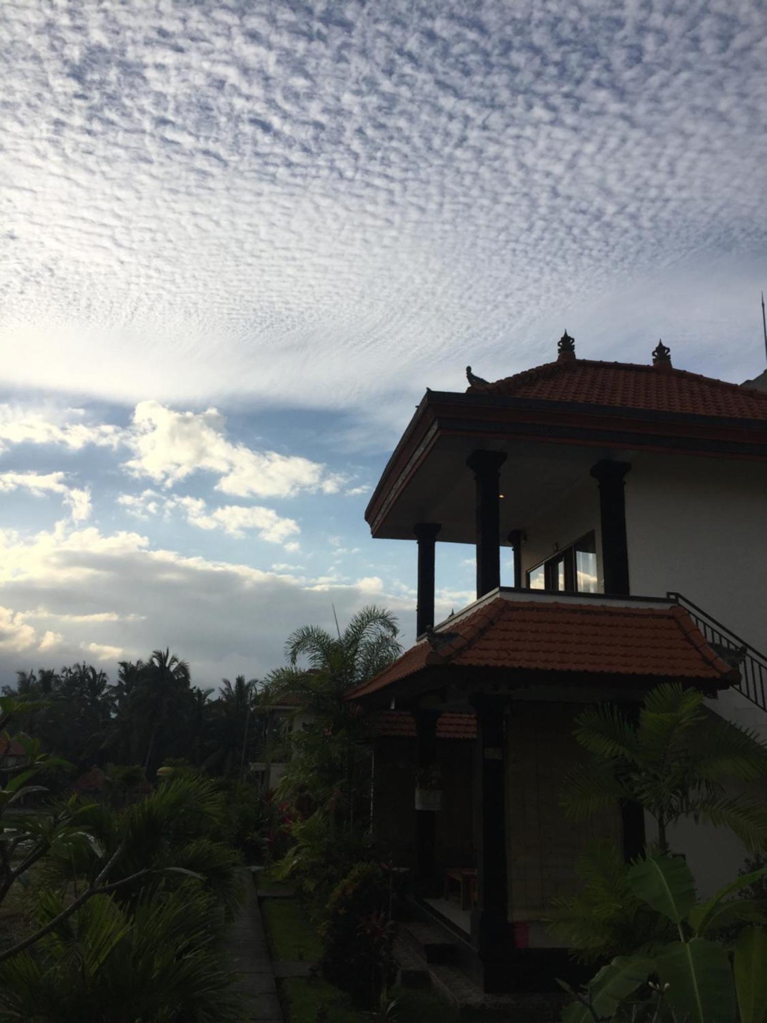 Sari Bungalow أوبود المظهر الخارجي الصورة