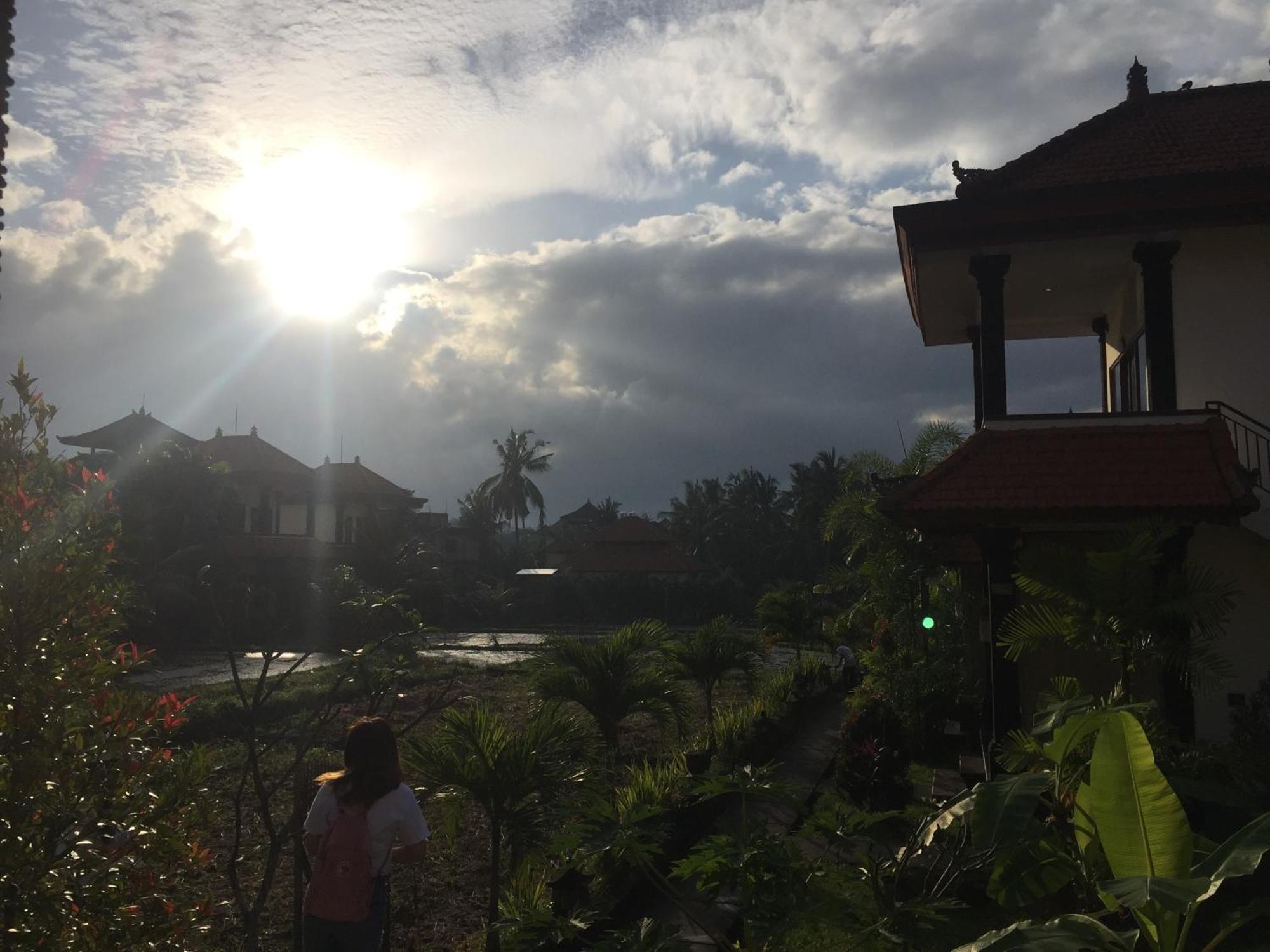 Sari Bungalow أوبود المظهر الخارجي الصورة