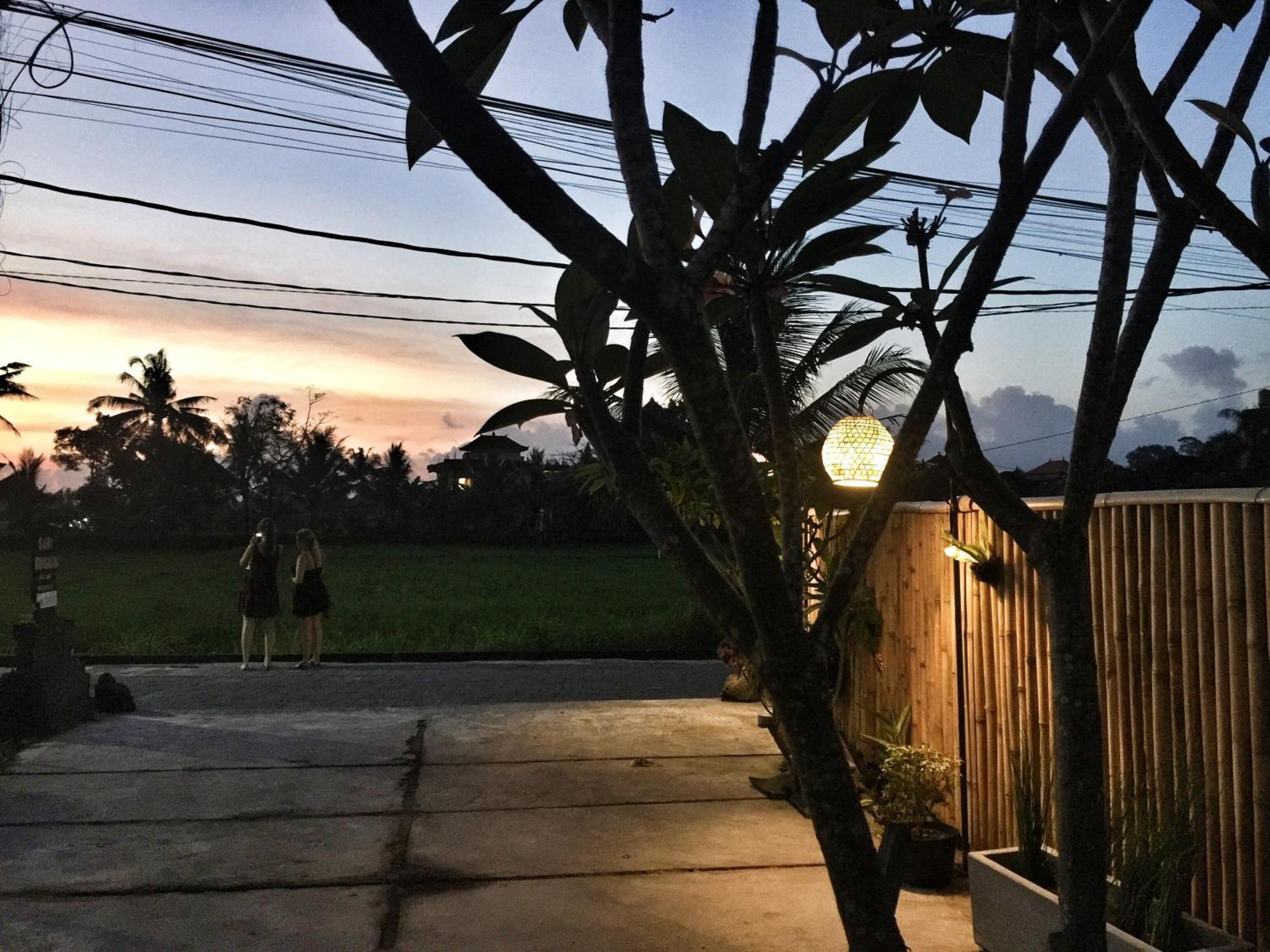 Sari Bungalow أوبود المظهر الخارجي الصورة